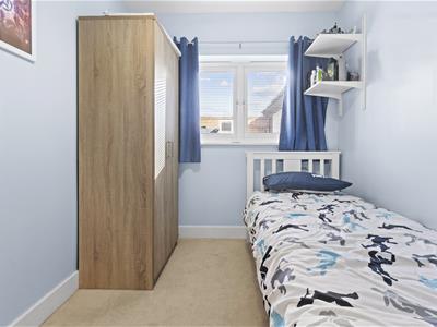 Picture 15
